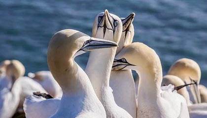 B体育官方入口-ATP六人斩获生涯首冠 “00后一哥”之争硝烟再起？